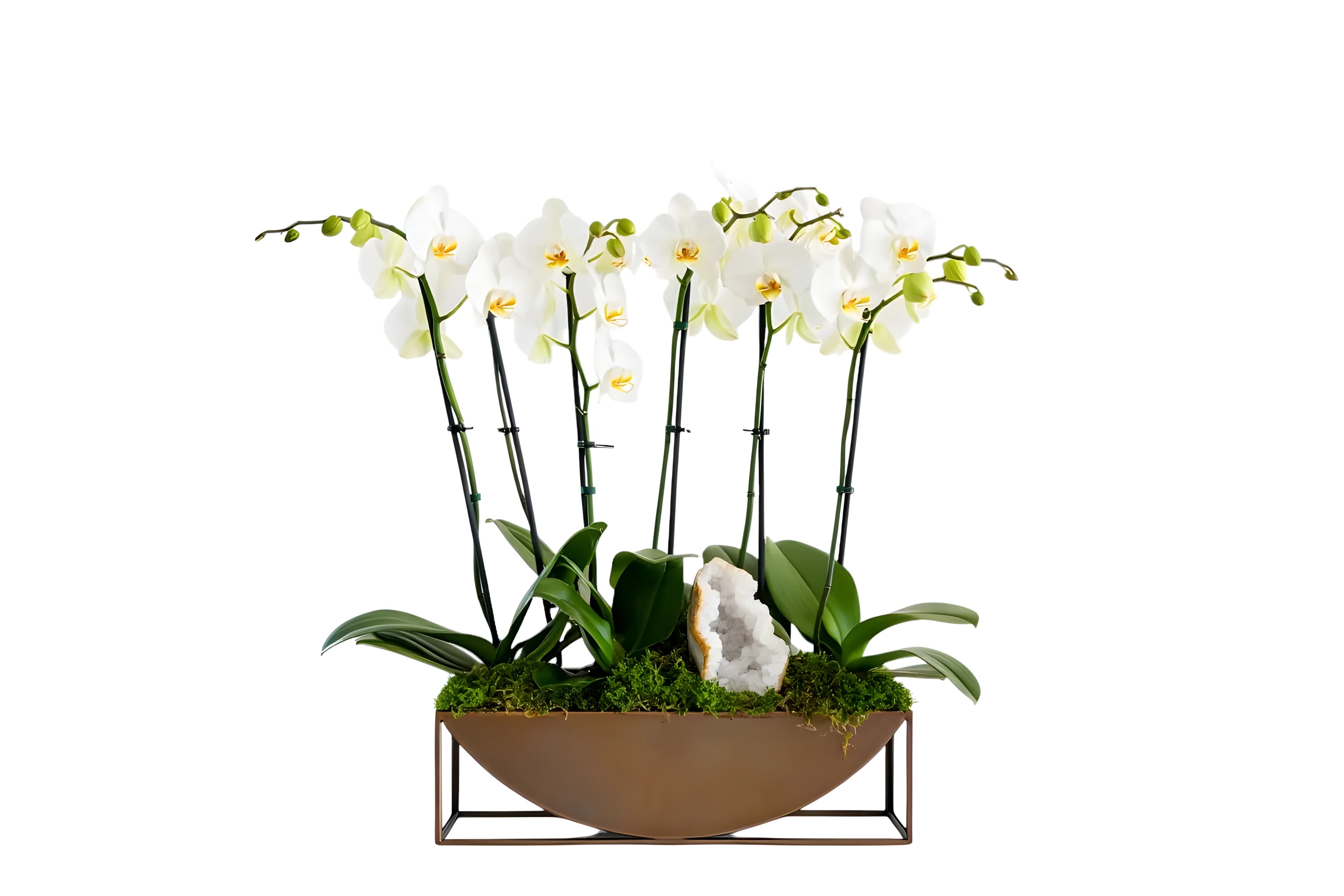 The Atelier Concierge